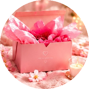 BOX SURPRISE